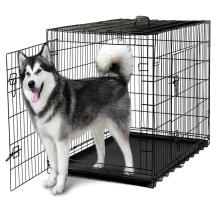Galvanized or pvc coated welded Pet Cage (factory) dog cat rabbit
